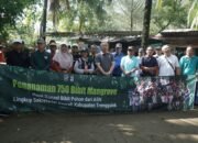 Dukung Net Zero Carbon, Pegawai Setda Trenggalek Tanam 750 Bibit Mangrove di Pancer Cengkrong