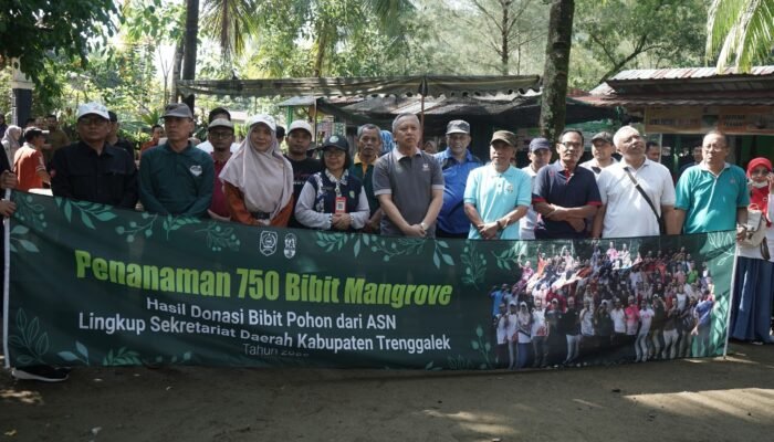 Dukung Net Zero Carbon, Pegawai Setda Trenggalek Tanam 750 Bibit Mangrove di Pancer Cengkrong